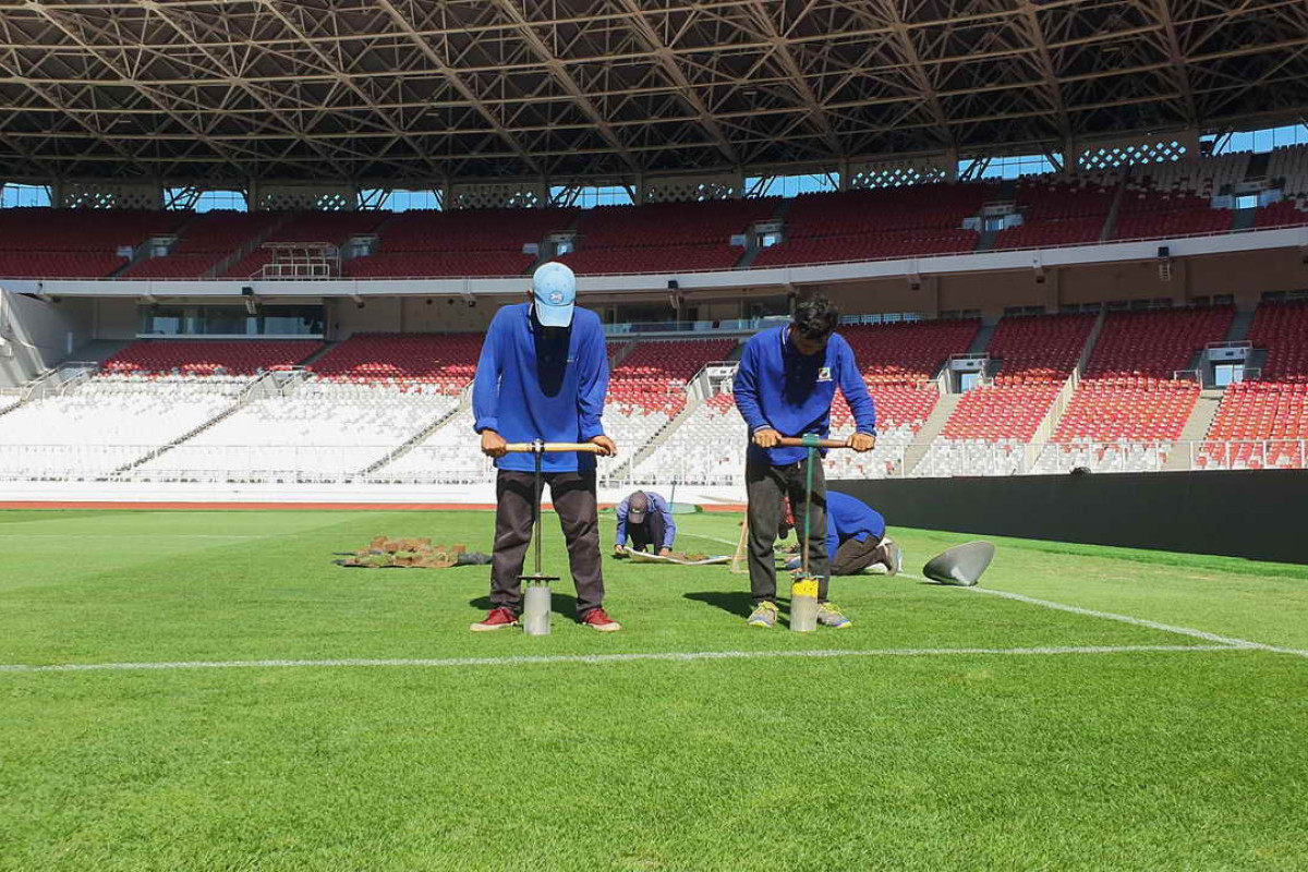 Kondisi Rumput SUGBK Dikeluhkan Pemain Jepang, Ternyata Ini Penyebabnya