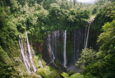 Terkenal dengan Penghasil Tempe Terenak di Dunia! Malang Kini Bakal jadi Ibukota Baru di Jawa Timur Geser Surabaya, Kenapa?