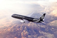 Air New Zealand Lebarkan Sayap Layani Penerbangan Sepanjang Tahun dari Bali Langsung ke Auckland