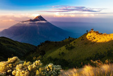 Jepara Hingga Kudus Siap keluar dari Jateng Demi Bentuk Provinsi Jawa Utara yang Akan Selesai pada Akhir  2025