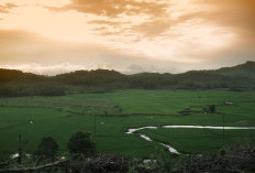 Luasnya Mencapai 54.200 Km²! 5 Kabupaten Bakal Hengkan dari Kalimantan Tengah Demi Membentuk Provinsi Baru