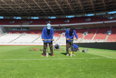 Kondisi Rumput SUGBK Dikeluhkan Pemain Jepang, Ternyata Ini Penyebabnya